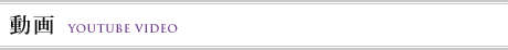 動画 Youtube